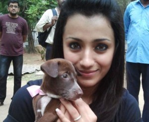 trisha